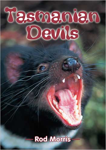 Tasmanian Devils>