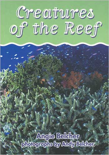 Creatures of the Reef | Wushka Australia