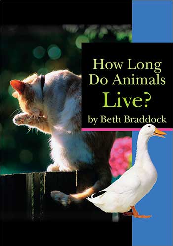 How Long Do Animals Live?