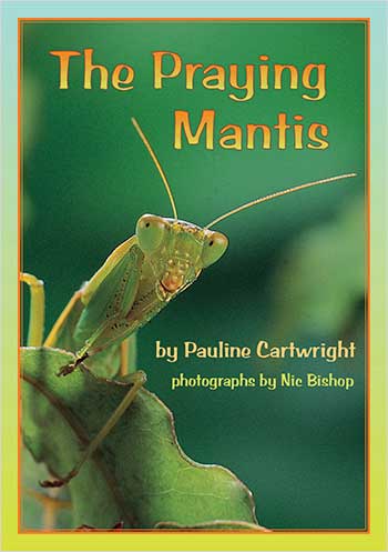 The Praying Mantis>