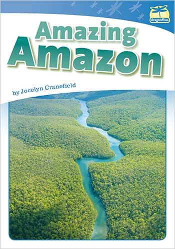 Amazing Amazon>