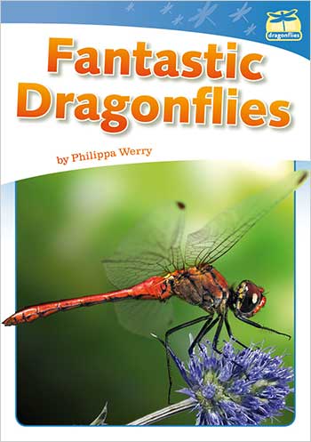 Fantastic Dragonflies