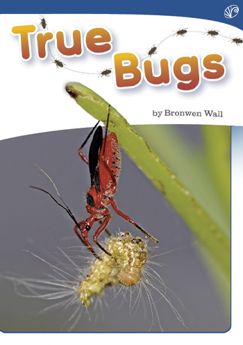 True Bugs>