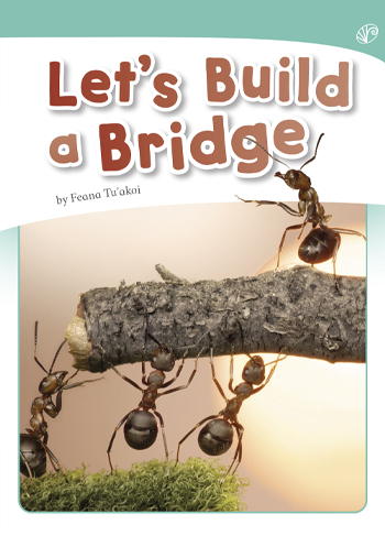 Let's Build a Bridge