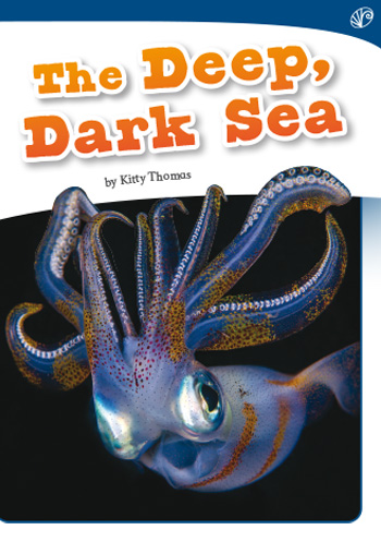 The Deep, Dark Sea>