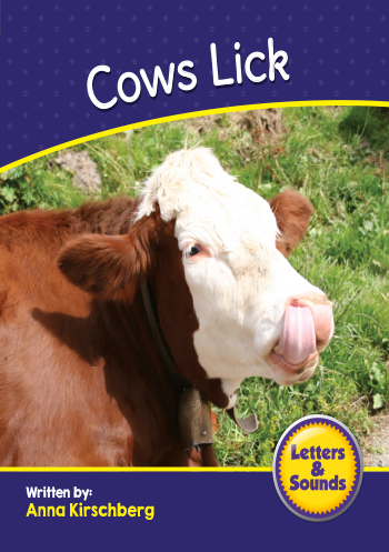 Cows Lick>