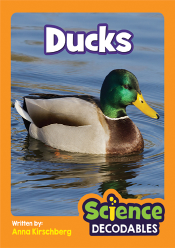 Ducks>