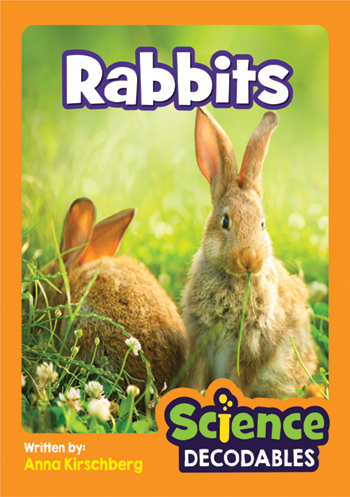 Rabbits>
