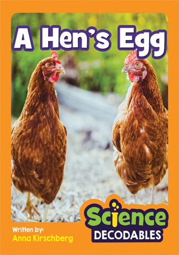 A Hen’s Egg>