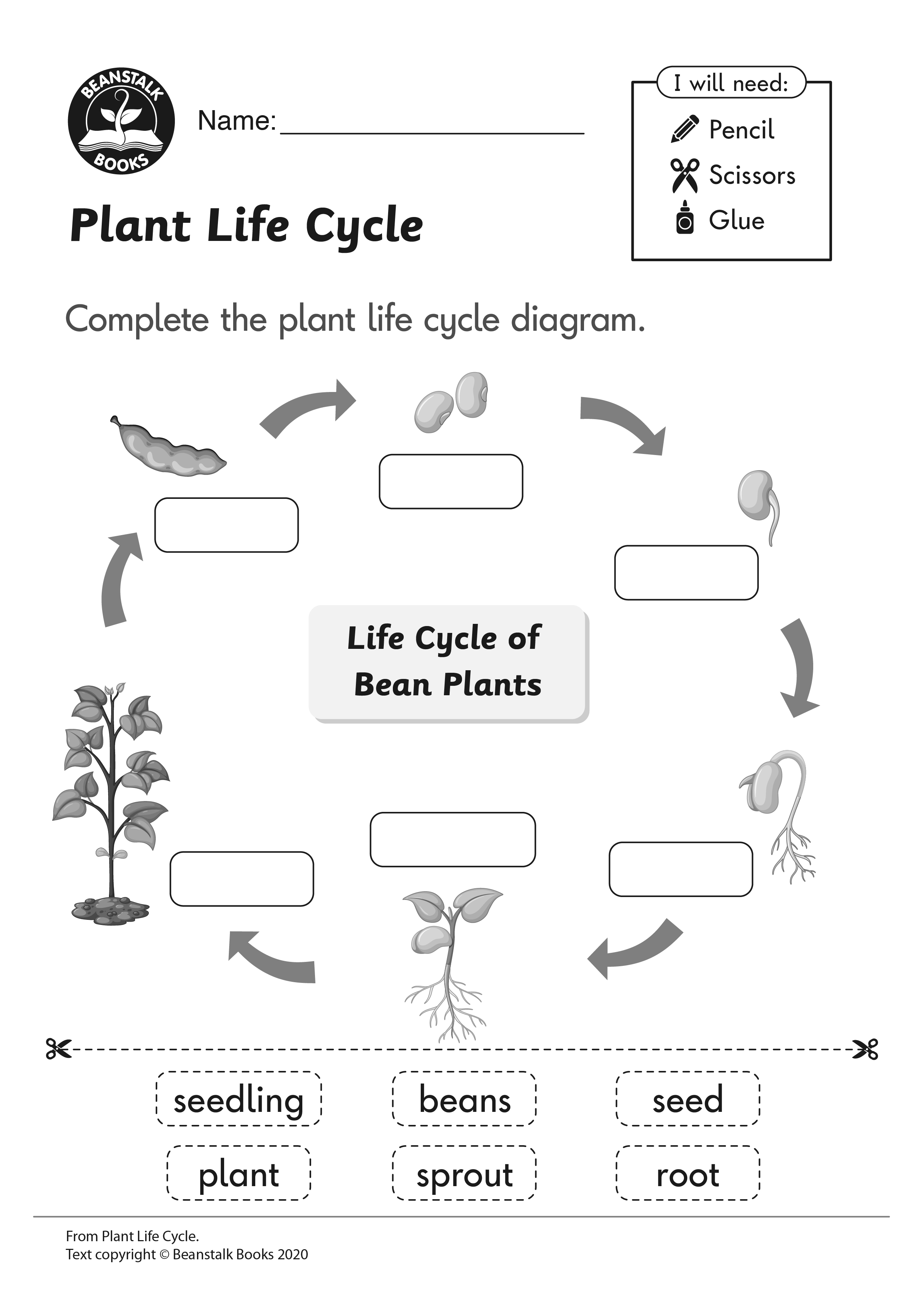 Plants Cycle Life Worksheet