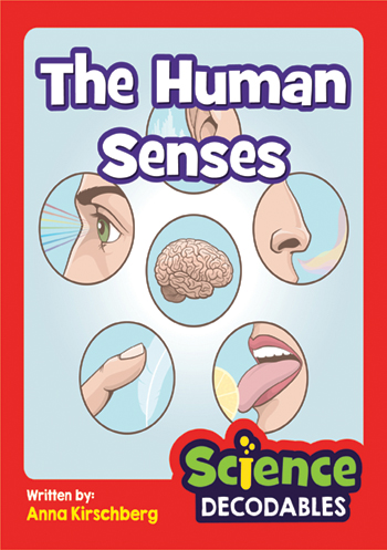 The Human Senses>