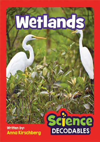 Wetlands>